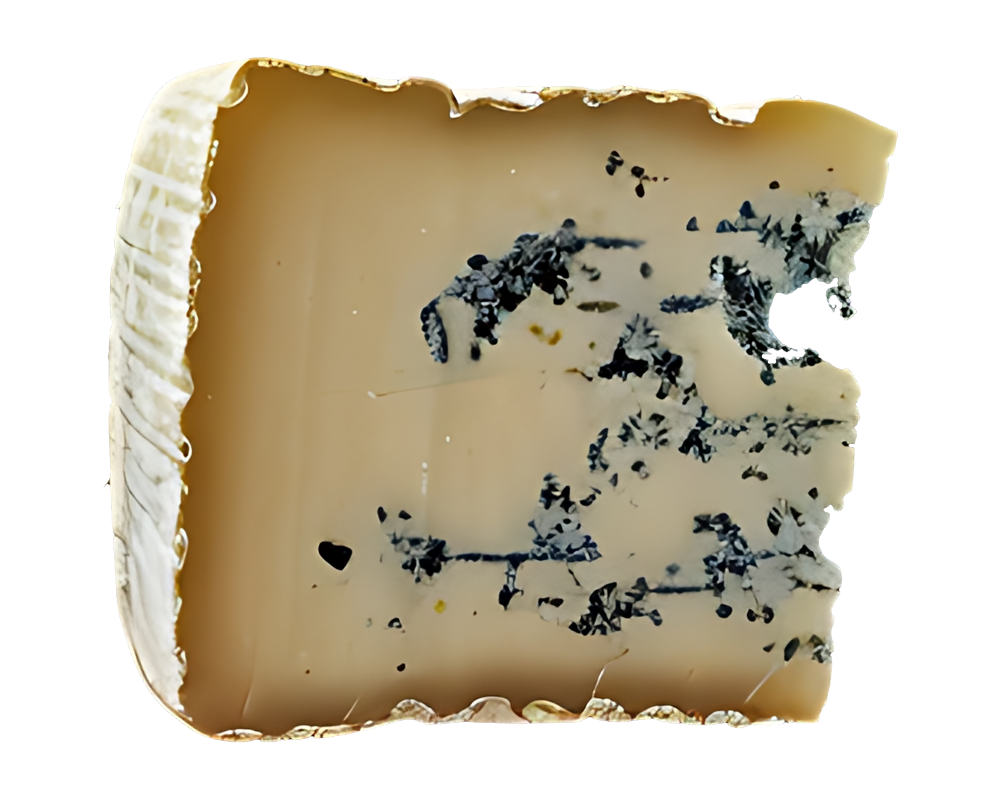 Parmigiano